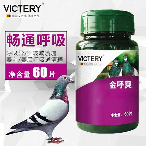 金呼爽 守護嗓音健康，金嗓音的自信之源